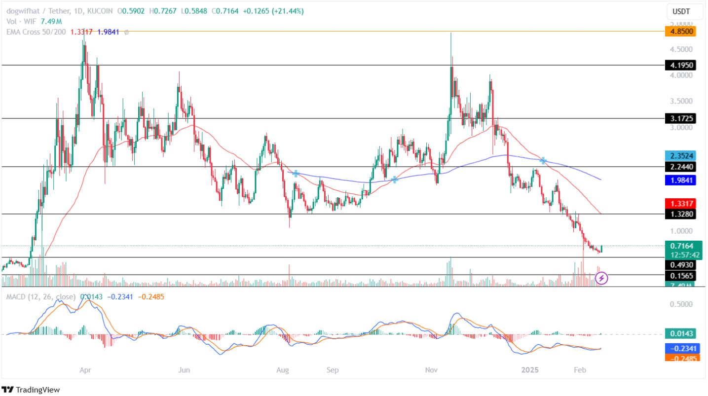 Dogwifhat Price Analysis 14th February 2025