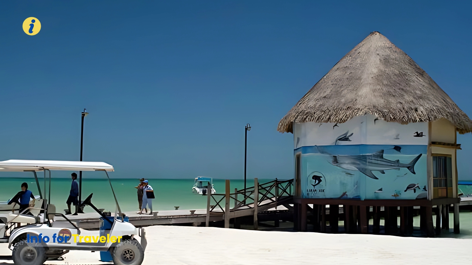 Isla Holbox, Iconic for Wildlife