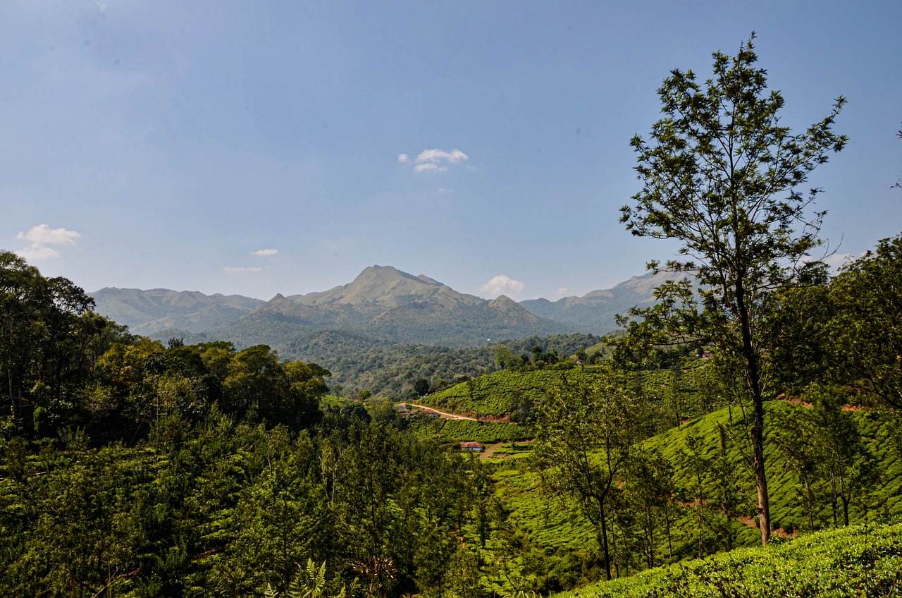 Top 10 Places to Visit in Wayanad | Complete Guide