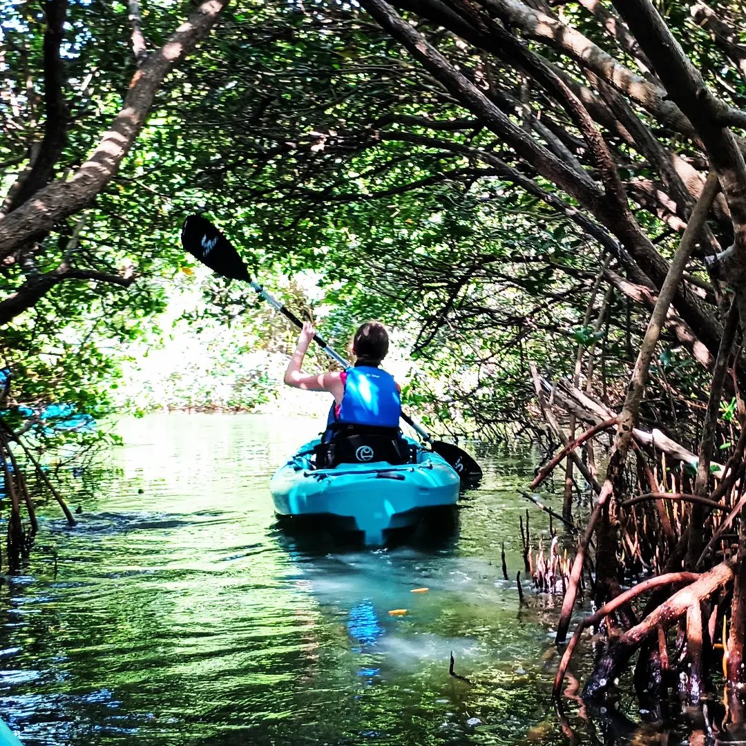 kayak rentals cocoa beach