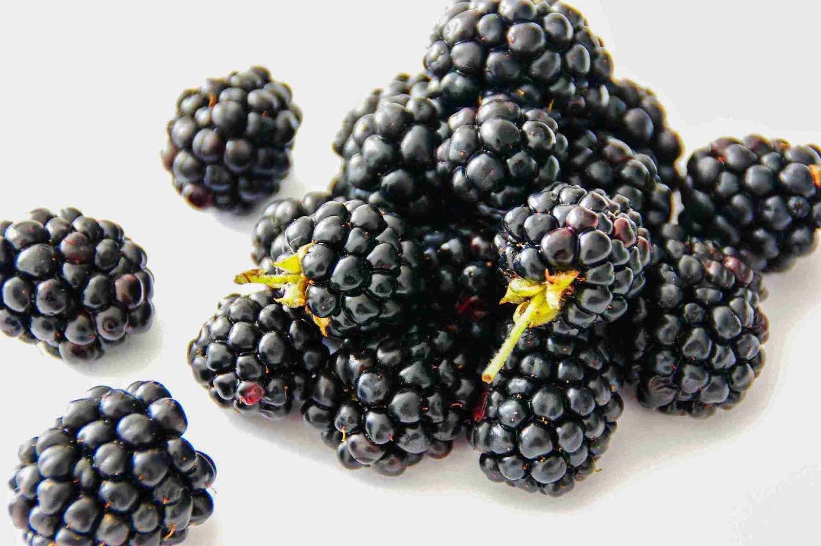 berries protein rich 