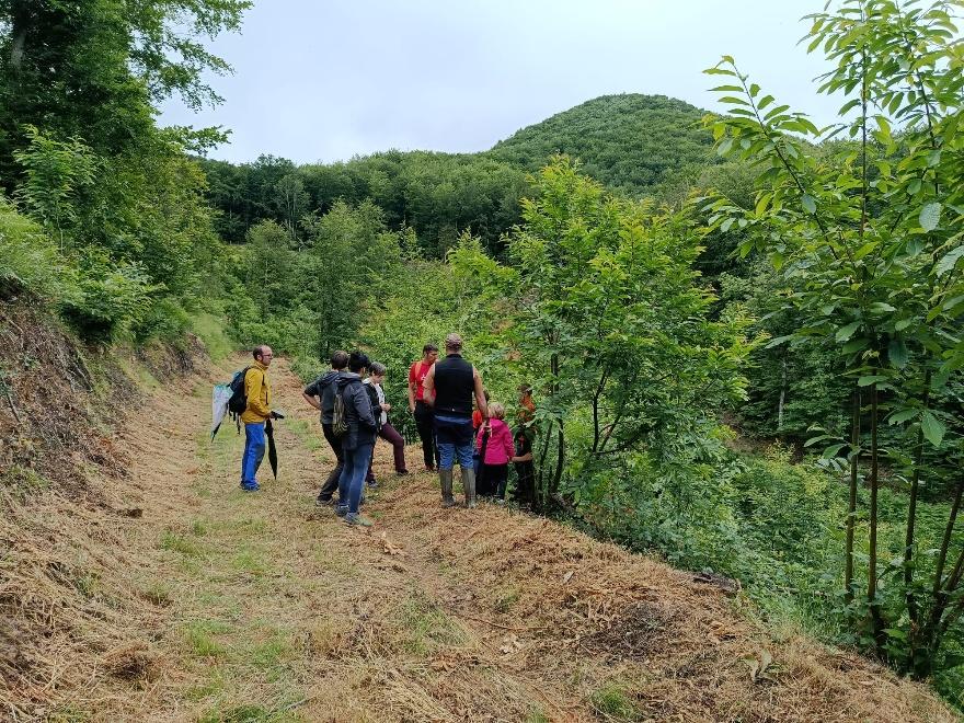 Un grupo de personas caminando en un bosque

Descripción generada automáticamente