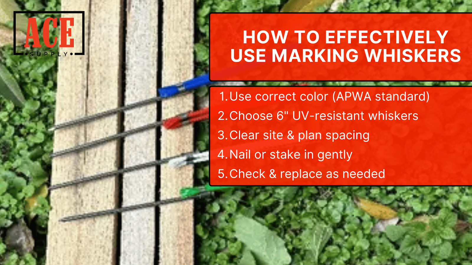 How to Effectively Use Marking Whiskers