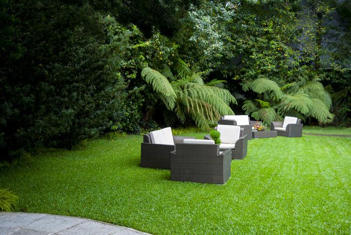 A lawn with chairs and trees

AI-generated content may be incorrect.