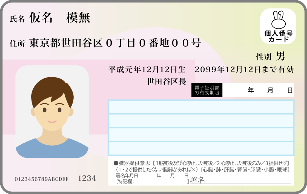 マイナ免許証の見た目
