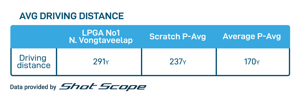 Driving Distance Data