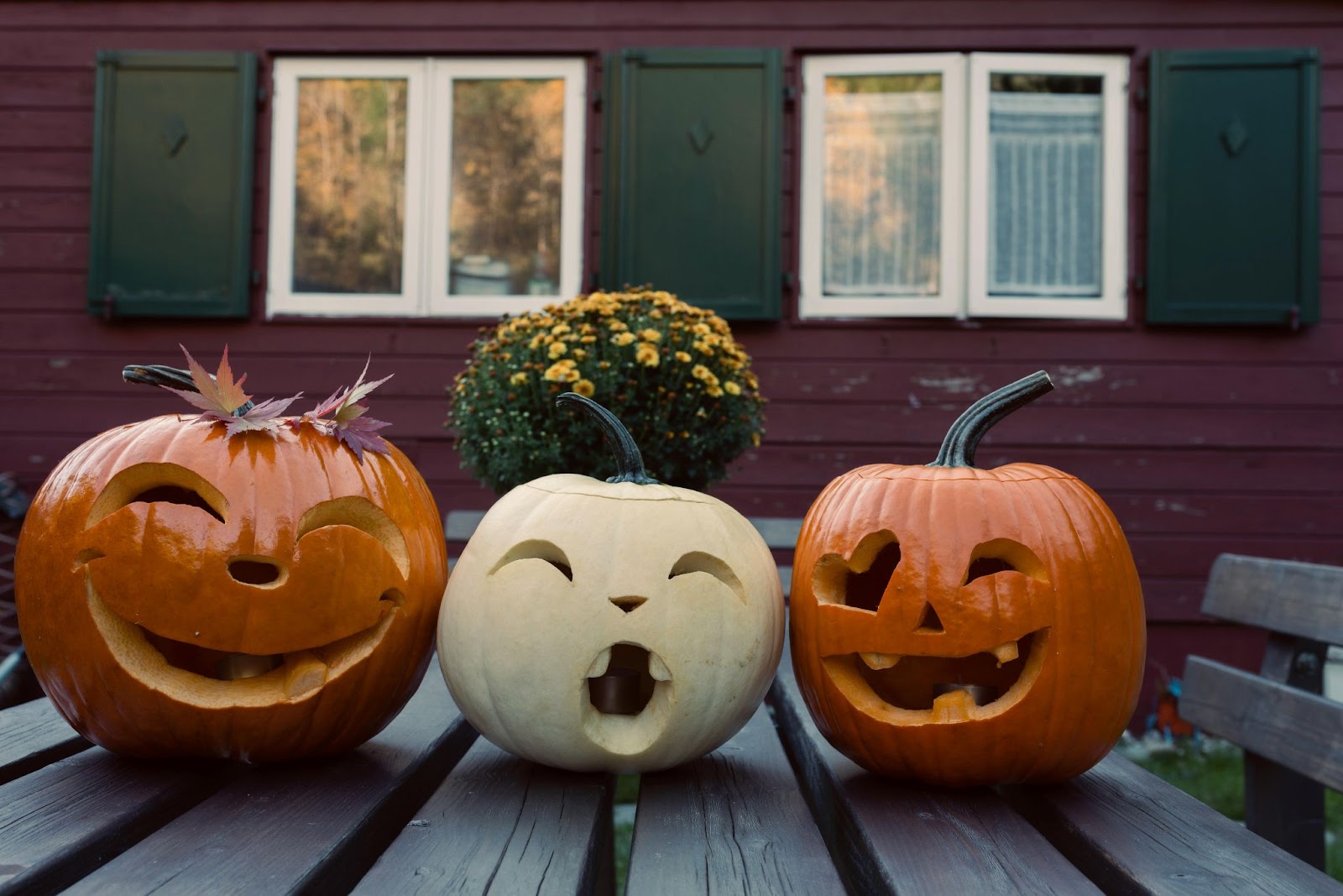 Three carved pumpkins on a table outside