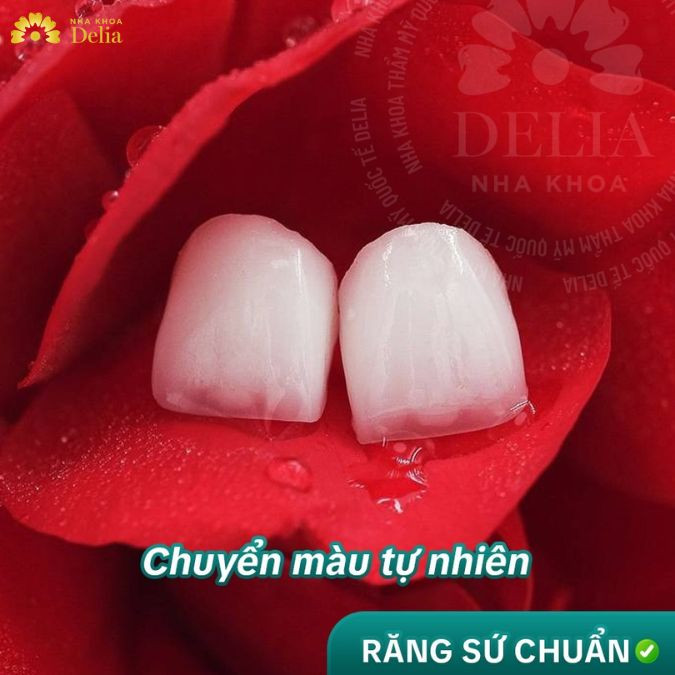 các sản phẩm bột làm răng giả phải đáp ứng các yêu cầu về chất lượng và an toàn