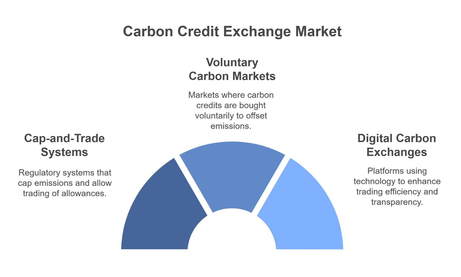 Most Successful Business Models for Carbon Credit Exchange