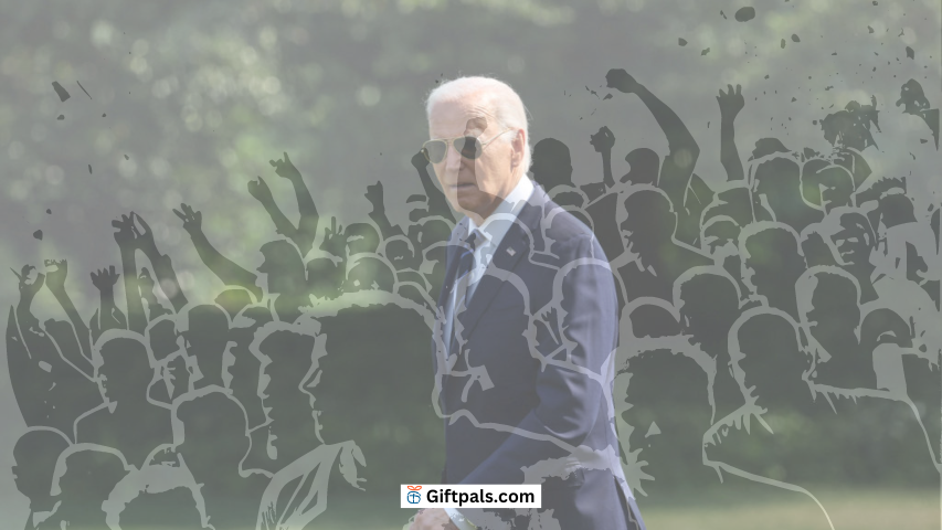 General Guide on Buying Biden Lovers Collection