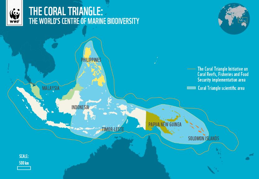 Coral Triangle