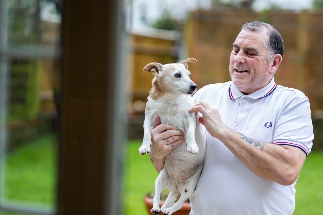 Free An elderly man in a white polo shirt happily holding his Jack Russell Terrier in the yard. Stock Photo