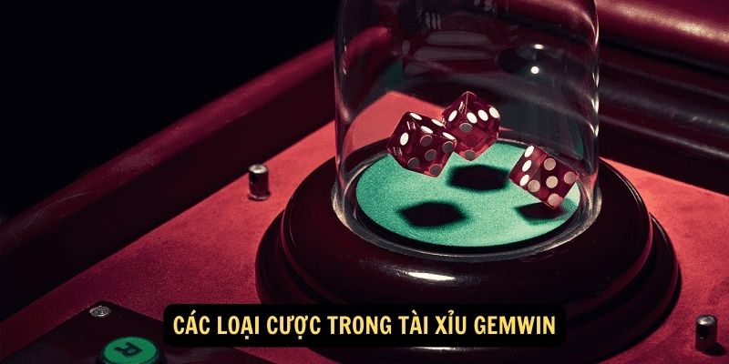 Các loại cược trong Tài Xỉu Gemwin