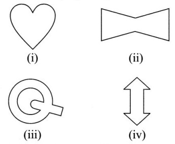 CBSE Class 7 Maths Symmetry Worksheets 10