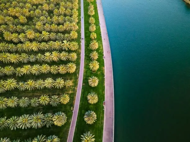 12 Captivating Nature Views to Brighten Your Day, bright views, captivating nature, nature, landscape, joyful landscapes, sunny scenes