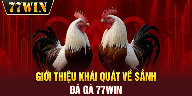 Đá gà trực tiếp