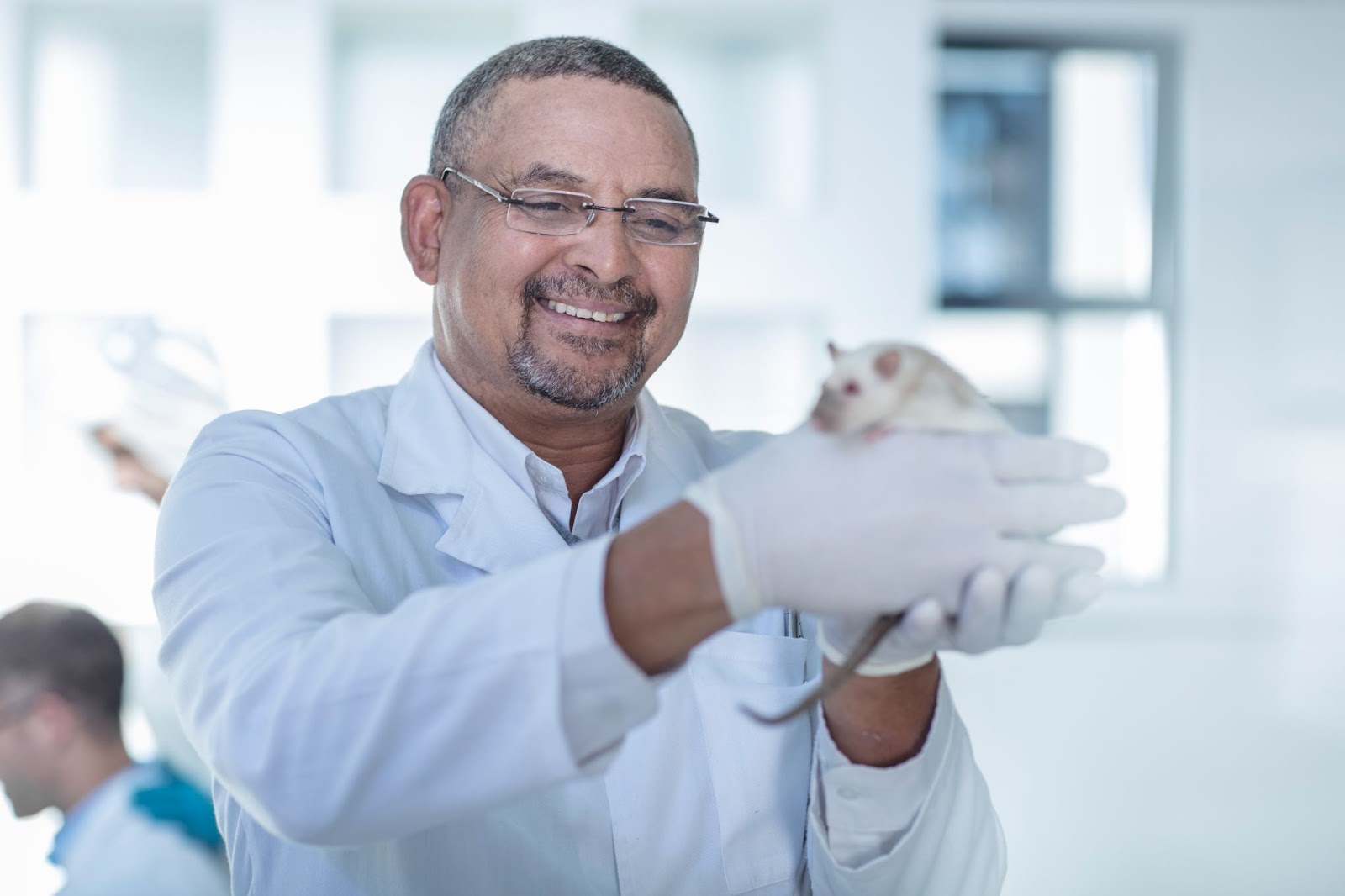 Researcher in lab holding rat in hand during CBD test