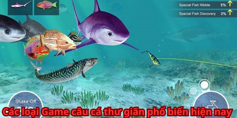 Các loại Game câu cá thư giãn phổ biến hiện nay