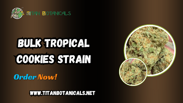 Elevate Your Experience with the Bulk Tropical Cookies Strain