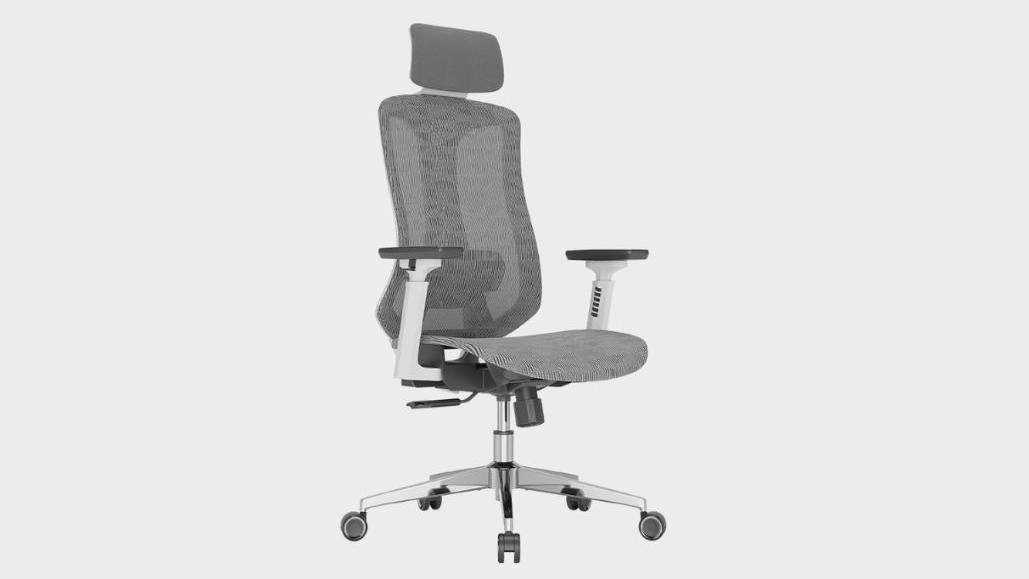 Logicfox Ergonomic Office Chair