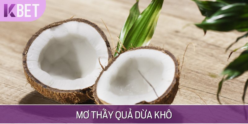 minh hoạ quả dừa khô