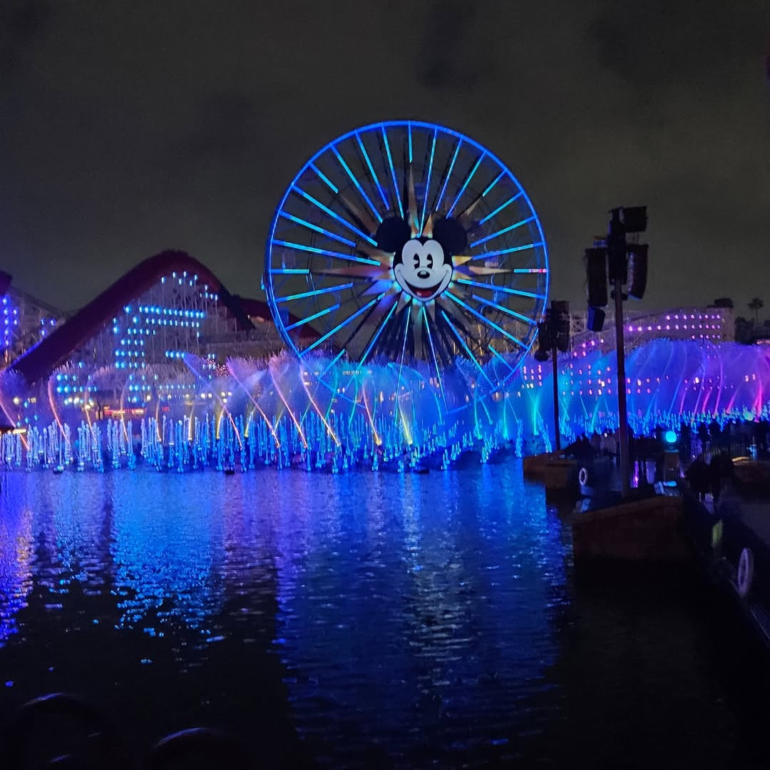 Ride on the Anaheim Wheel
