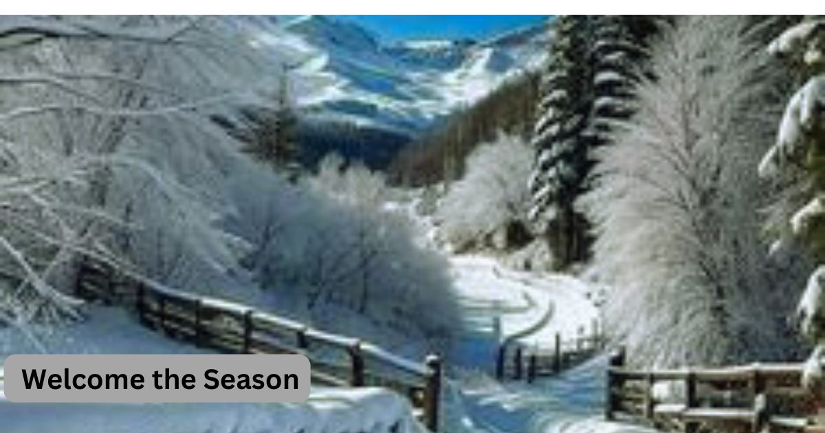 winter
