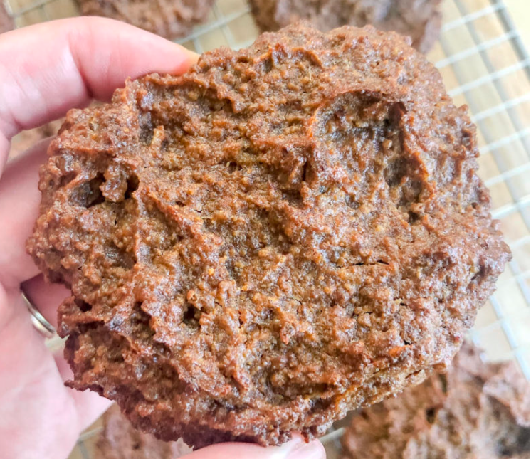Animal-Based Beef Cookies