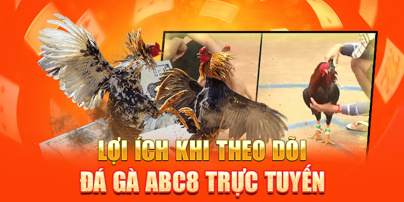 Lợi ích khi theo dõi đá gà ABC8 trực tuyến