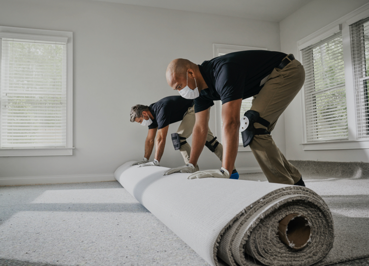 Carpet Contractors in Birdsboro