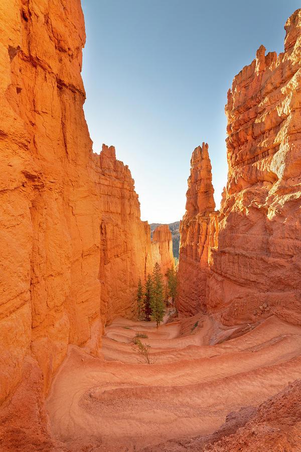 Bryce Canyon National Park Wall Street - Utah by Brian Harig