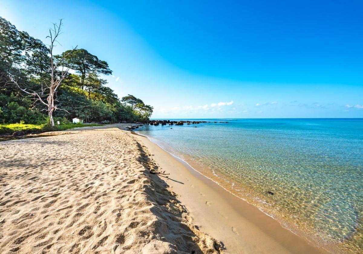 A sandy beach with trees and water

Description automatically generated