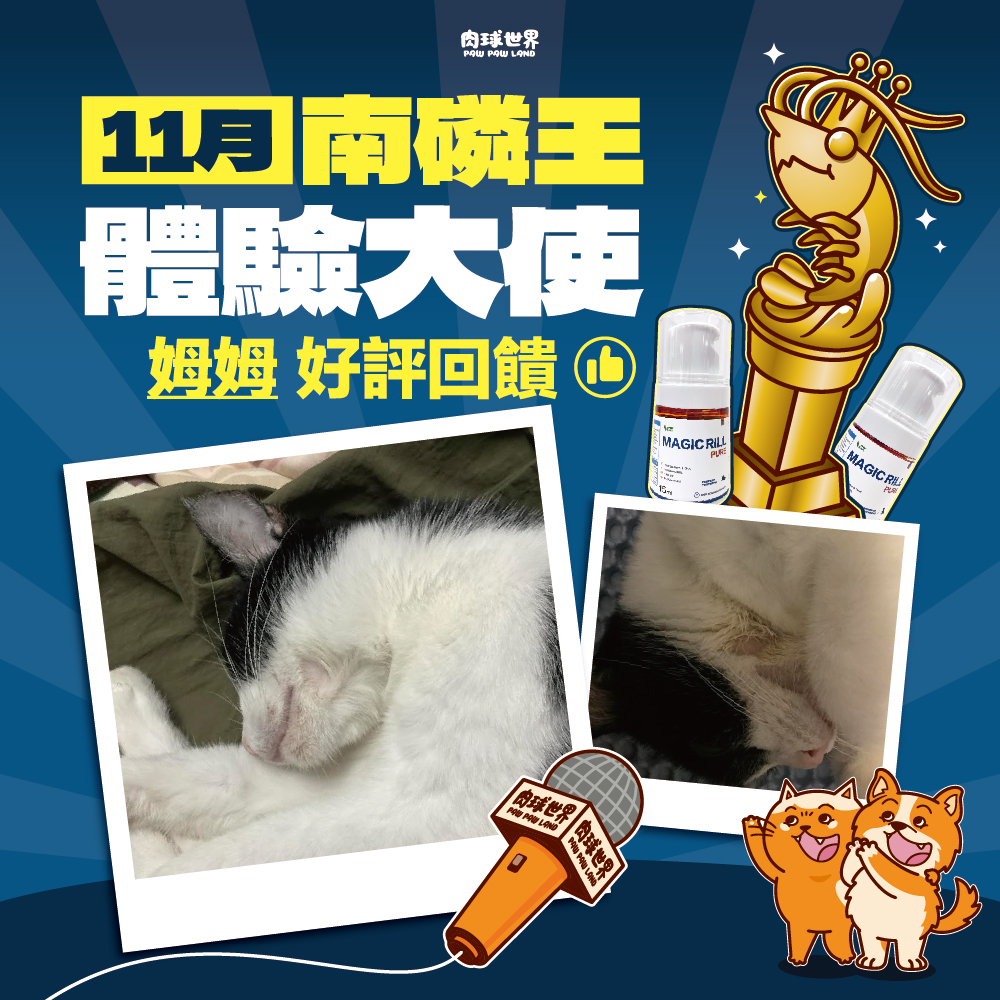 1. 2024年11月南磷王體驗大使│姆姆│好評回饋