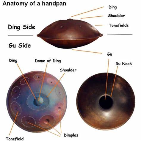 Handpan Anatomy Basics