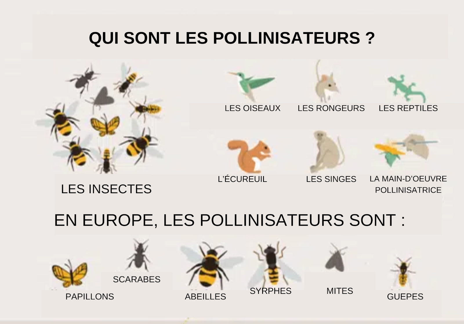 La journée mondiale des abeilles : le 20 mai - Non classifié(e)