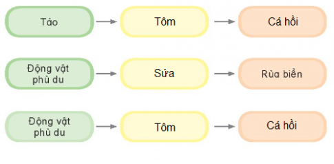 BÀI 29: CHUỖI THỨC ĂN TRONG TỰ NHIÊN