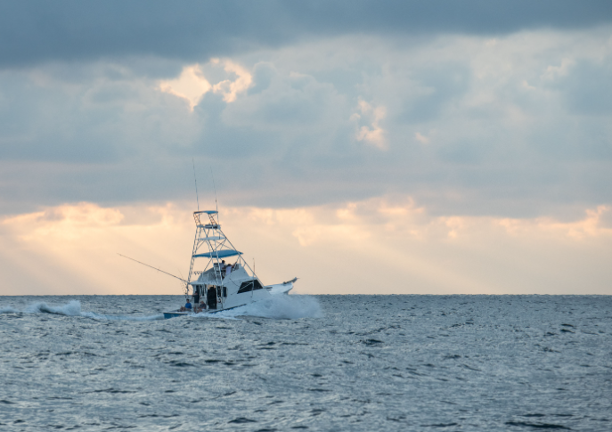 Everything You Need to Know About Inshore Fishing as a Beginner