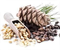 Pine Nut Shells Increase Physical Endurance