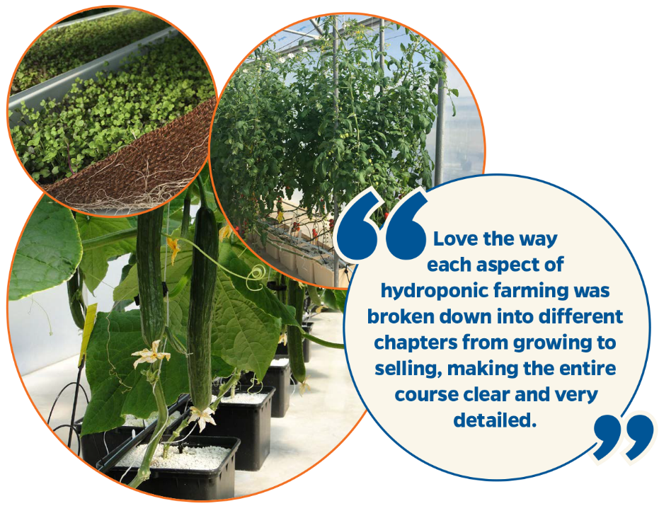 University of Florida Greenhouse Training Online course, Hydroponic Vegetable Production Starts October 21!