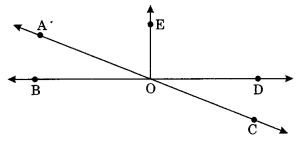 NCERT Solutions for Class 7 Maths Chapter 5 Lines and Angles 8