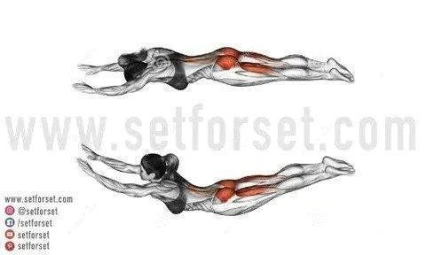 spinal erector exercises