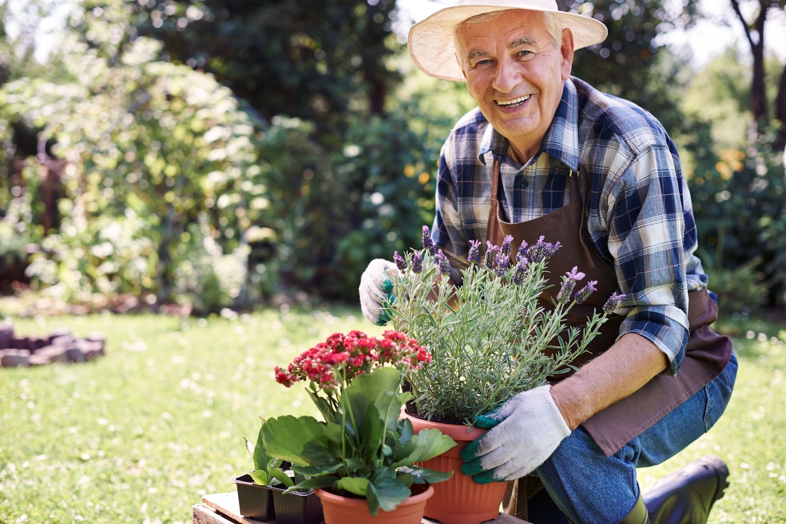 Gardening as Therapy