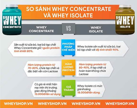 A chart of different protein supplements