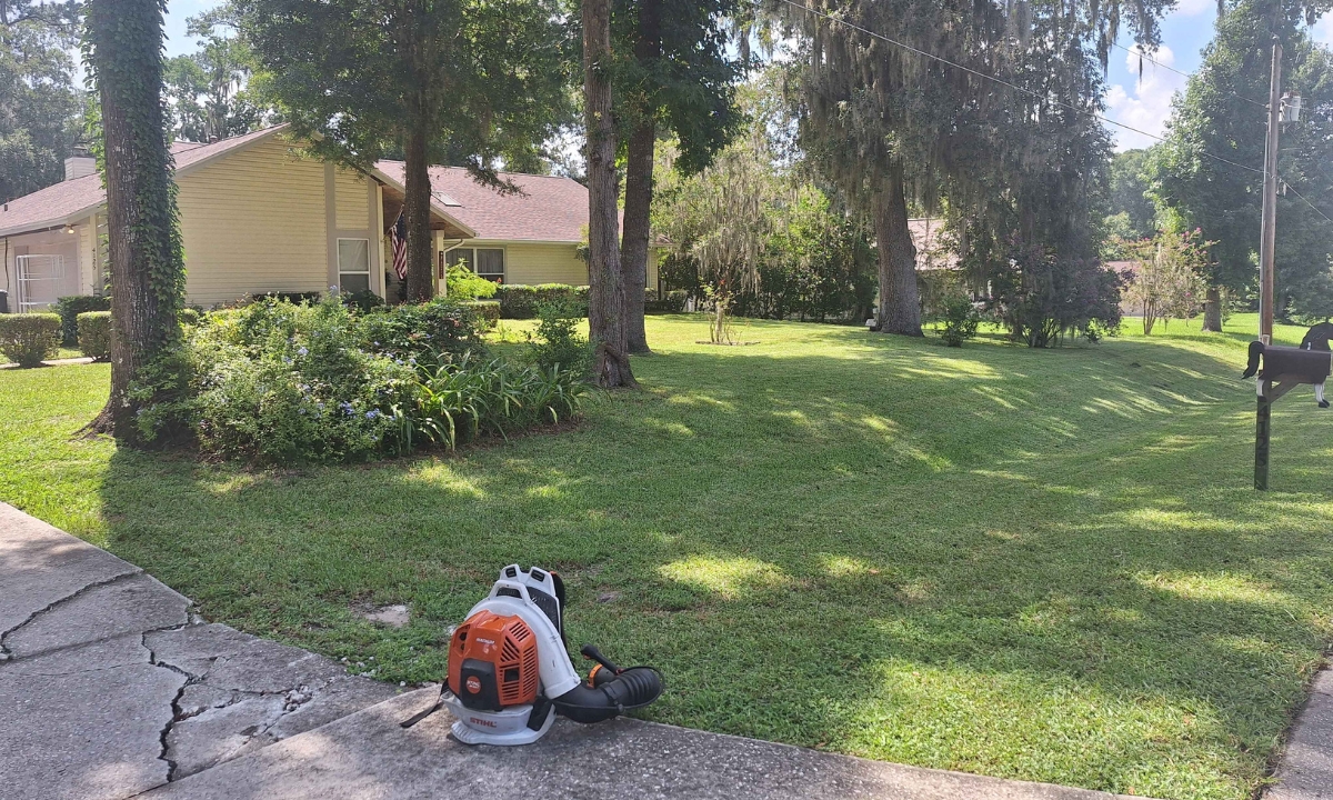 Natural Fertilizers: Nourishing Your Lawn the Right Way