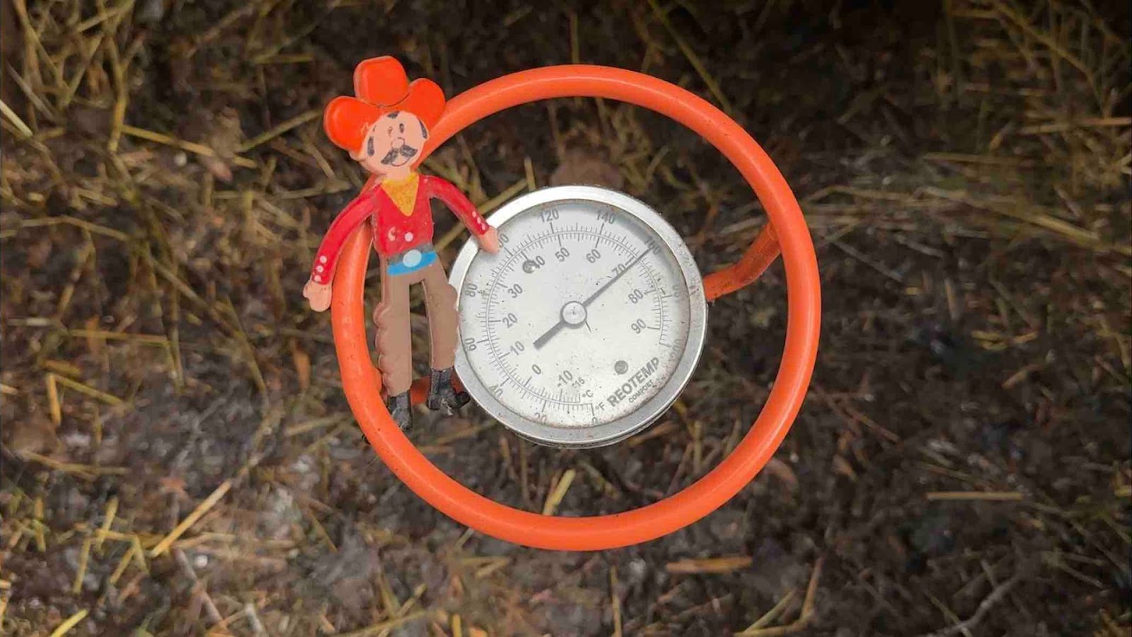 Compost cowboy in a compost heap, measuring 160 degrees Fahrenheit, or 70 degrees Celsius