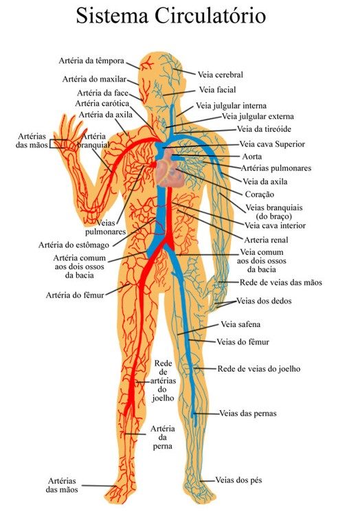 Diagrama

Descrição gerada automaticamente