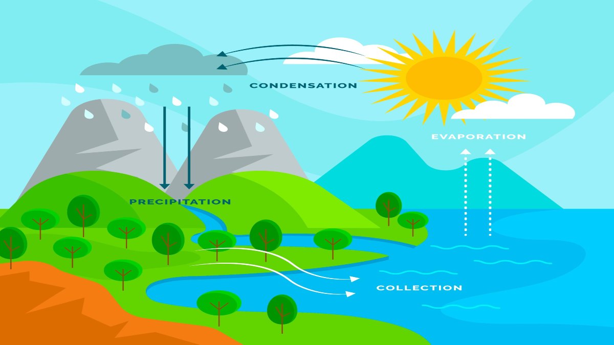 Water Cycle powered by the Sun