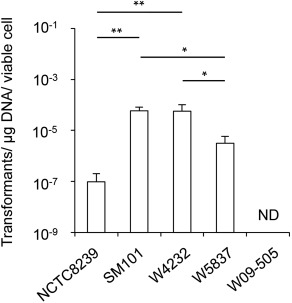 The results of a bacterial transformation assay. Image description available. 