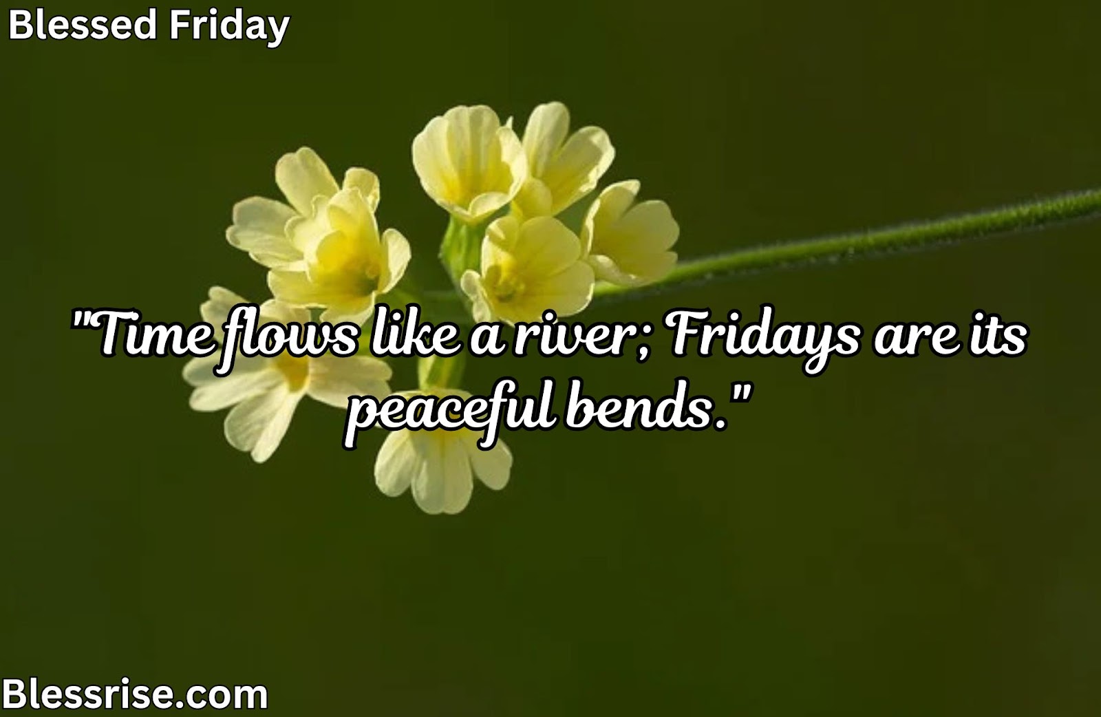 Philosophical Blessed Friday Quotes