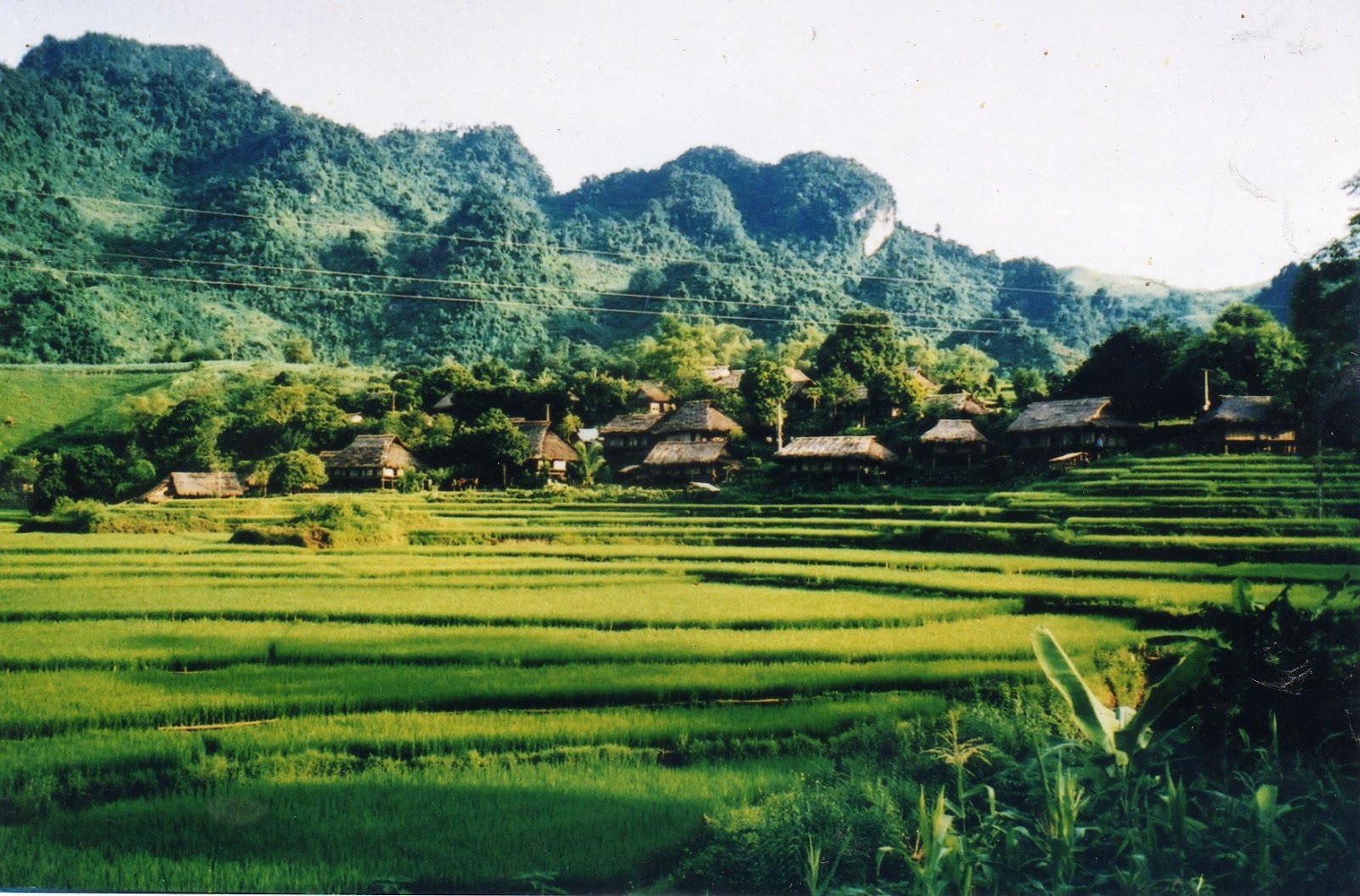 D:\Ảnh Chuyên môn VH,TT & DL\ANH WEB\File0053.jpg